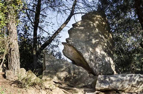 bosque encantado de orrius|El Bosque de Orrius: una excursión un tanto surrealista